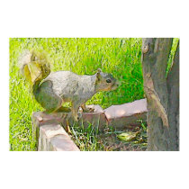 Sunny Squirrel