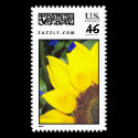 Sunny Stamp