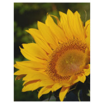 Sunny sunflower and meaning customized letterhead