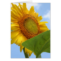 Sunny Sunflower Greeting Card