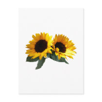 Sunny Sunflowers Postcards