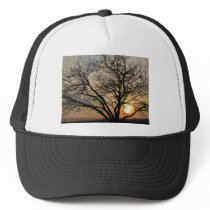 Sunny Tree hats