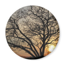 Sunny Tree magnets