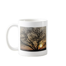 Sunny Tree mugs