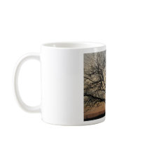 Sunny Tree mugs