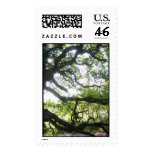 Sunny Tree postage