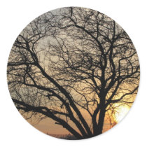Sunny Tree stickers