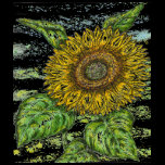 sunny t-shirts