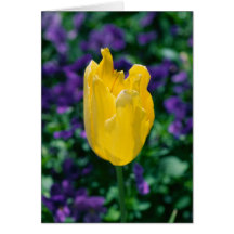 Sunny Tulip Greeting Card