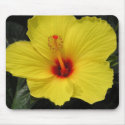 Sunny Wind Hibiscus mousepads by ruthartphoto Sunny Wind Hibiscus mousepads