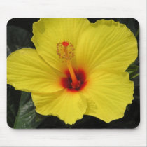 Sunny Wind Hibiscus mousepads by ruthartphoto Sunny Wind Hibiscus mousepads