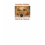 Sunny - Woman's T-shirt - Sunshine Goldens
