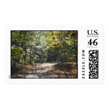 Sunny wooded clearing stamps