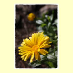 Sunny Yellow Blossom Print posters