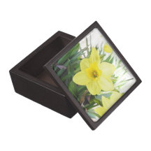 Sunny Yellow Daffodil Premium Gift Boxes