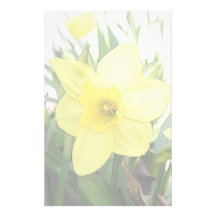 Sunny Yellow Daffodil Stationery