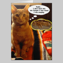 SunnyBoy the Cat Thinking and Sleeping Card cards