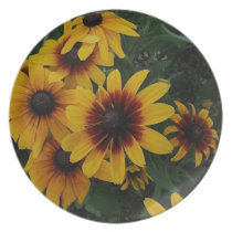 Sunnyflowers plates