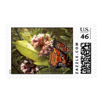 SunnyLowthertPhotography postage