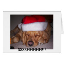 Sunny's Christmas Card