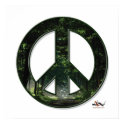 Sunpeace Poster posters