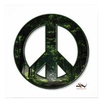 Sunpeace Poster posters