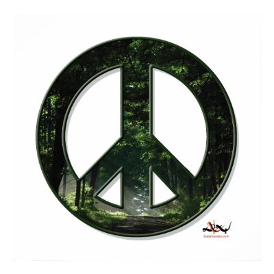 Sunpeace Poster by shinaweh