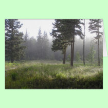 Sunrain Forest cards