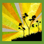 sunrays posters