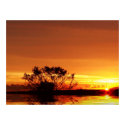 sunRealism Poster posters