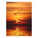 Sunrealism series Poster posters