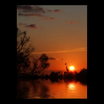 sunrealism sunset poster posters by webgrrl sunrealism sunset poster posters