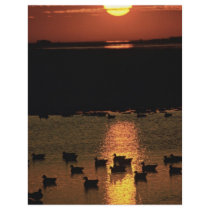 Sunrise at Blackwater National Wildlife Refuge flyers by animalpark Sunrise at Blackwater National Wildlife Refuge flyers