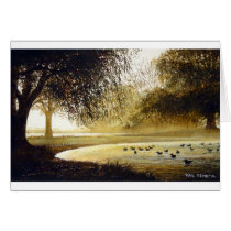 Sunrise at Greenlake cards