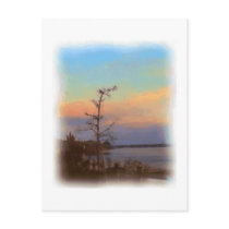Sunrise at Joppa Flats Postcard postcards