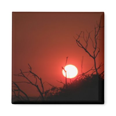 Sunrise at Phinda Private Game Reserve (Magnet) by YourSafariExpert