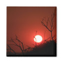 Sunrise at Phinda Private Game Reserve (Magnet)
