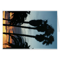 Sunrise at Santa Barbara 1 cards by ewselect Sunrise at Santa Barbara 1 cards