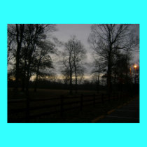sunrise at the park, # 3 posters