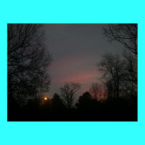 sunrise at the park, # 4 posters