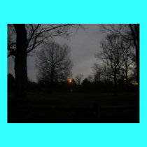 sunrise at the park posters