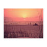 Sunrise Beachwalker Postcard