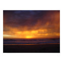 Sunrise Birds posters