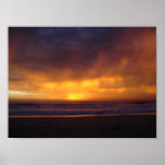 Sunrise Birds posters