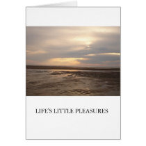 SUNRISE cards