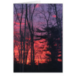 Sunrise Greeting Card