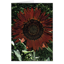 Sunrise cards