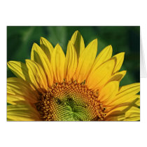Sunrise cards