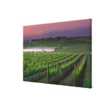 Sunrise color in the distant fog behind canvas print