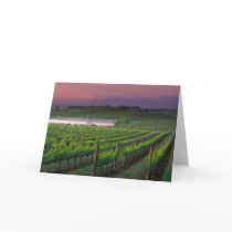 Sunrise color in the distant fog behind greeting cards